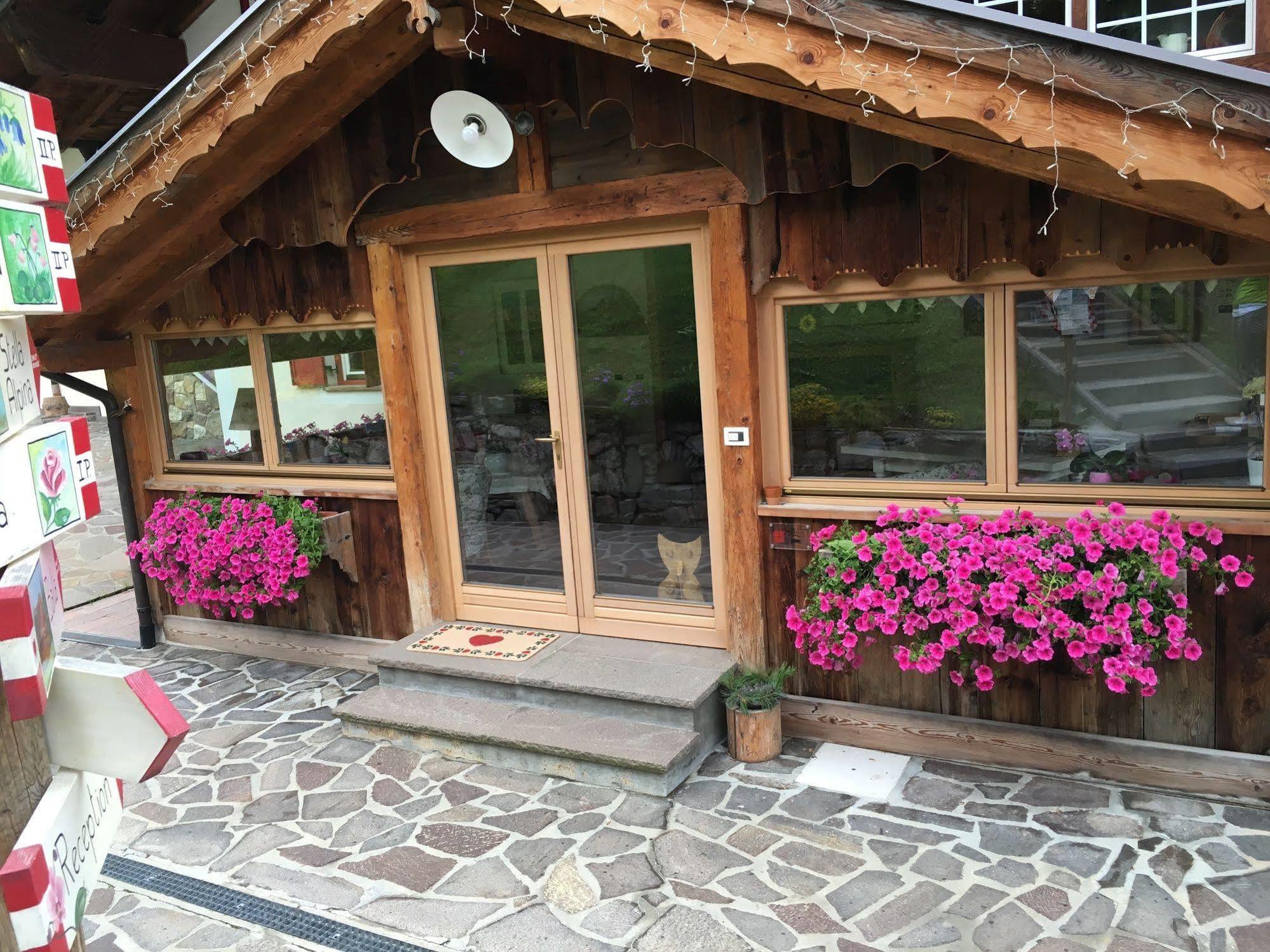 Appartamenti Chalet Orchidea Canazei Εξωτερικό φωτογραφία
