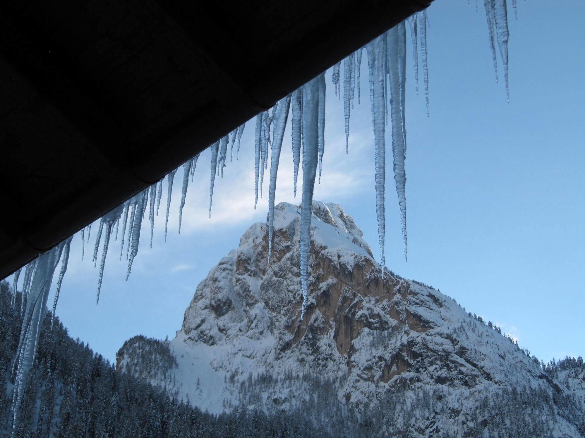 Appartamenti Chalet Orchidea Canazei Εξωτερικό φωτογραφία